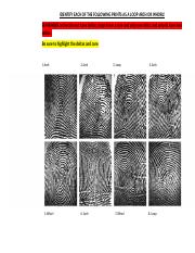 Fingerprint_intro_worksheet.docx